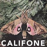 Tripped on Your Cape