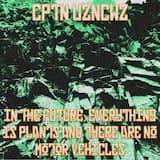 Sweltering Crystal Brigade