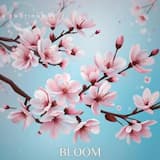 Bloom