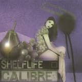 Part of Me (Calibre remix)