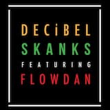 Skanks (original mix)