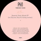 Static Woods (Bucurie remix)