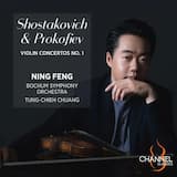 Prokofiev: Violin Concerto no. 1 - I. Andantino