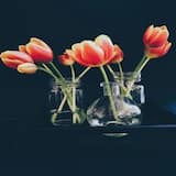 ROODA KAYF AWADA U DHIBTOON