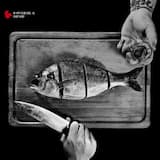 Intro Transformation