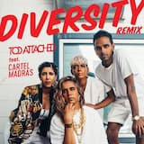 Diversity (remix)