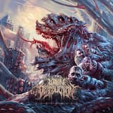 External Interference