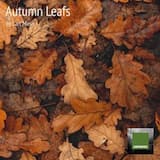Autumn Background
