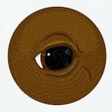 Take a Look Around (The 2 Bears vs. House of House remix)