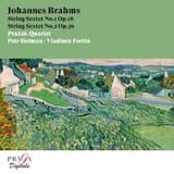 String Sextet No. 1 in B‐Flat Major, Op. 18: I. Allegro ma non troppo