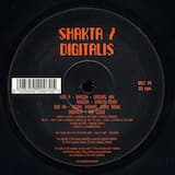 Amazon (original mix)