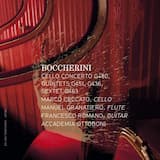 Divertimento n. 3, op. 16 in la maggiore, G463 per flauto e archi: Allegretto moderato
