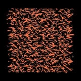 RFG Inventions for Cello and Computer