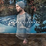 Notlandung auf Berlin