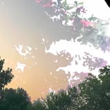 [i love you so much.]