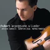 Arpeggione Sonata, D 821: Adagio