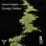 Quatuor No. 1 en Ut Mineur, Op. 8 No. 3: I. Largo - Allegro agitato