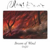 Broom of Wind