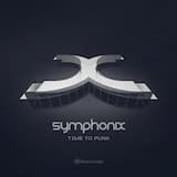 Zebra Beat (Symphonix remix)