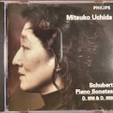 Piano Sonata No. 19 In C Minor, D. 958: I. Allegro