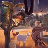 The Shaman and the Thief