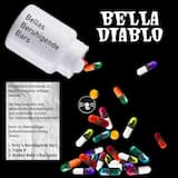 Broken Bellas Buchseite