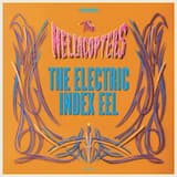 The Electric Index Eel - Revisited