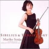 Violin Concerto in D minor, op. 47: 1st mov. Allegro moderato