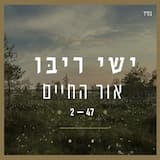 אור החיים