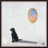 Ugly Little Rainbows