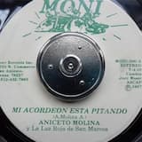 Mi acordeón está pitando