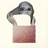 Meditations on the Split Self