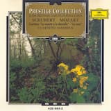 Cuarteto de cuerda Núm. 14 en Re menor, D810 "La Muerte y la Doncella": 1. Allegro