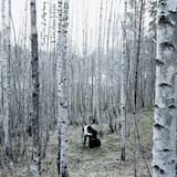 Vad är det som dör