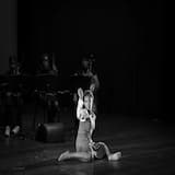 V.Cotton Picking in the Sun