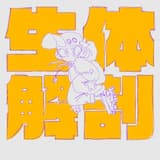 bits of sharp plastic