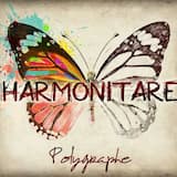 L'étagère au fond du corps