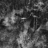 She felt a more naked kind of peace now: the trees, the road, the rain, even the night, all radiated calm. “Whatever happens is good,” she thought. Everything was simple at last, forever.