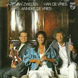 Allegro maestoso uit Fluitconcert in G, KV 313