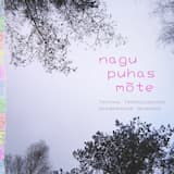 Siin on mu rõõmumaa