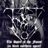 Between Eagles and Worms