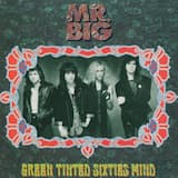 Green Tinted Sixties Mind