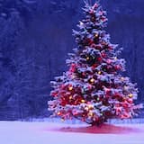 Christmas in St. Paul