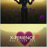 Say Thank You (Radio Edit)