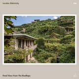 Final View From the Rooftops