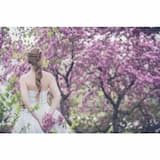 Spring Rain (revised)