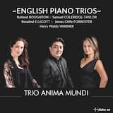 Trio in E minor: III. Finale: Allegro con furiant