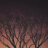 All The Seconds In Our Hours