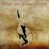 Pour un jeune lievre