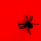 What Is Worse / We Found Out / Nocturnal